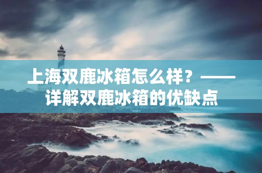 上海双鹿冰箱怎么样？——详解双鹿冰箱的优缺点