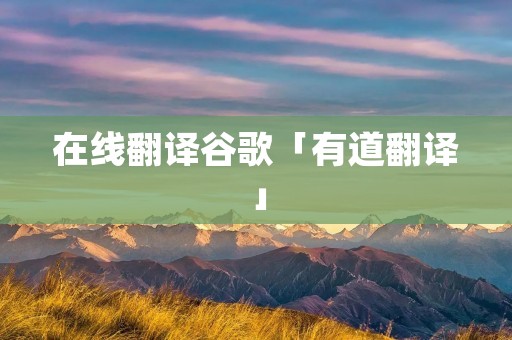 在线翻译谷歌「有道翻译」 在线翻译谷歌「有道翻译」