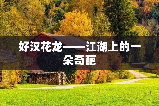 好汉花龙——江湖上的一朵奇葩 好汉花龙——江湖上的一朵奇葩