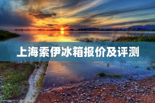 上海索伊冰箱报价及评测