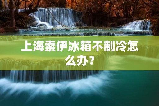 上海索伊冰箱不制冷怎么办? 上海索伊冰箱不制冷怎么办?