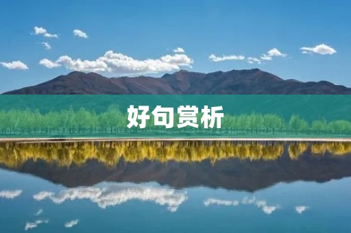 好句赏析：用句点亮文字之美