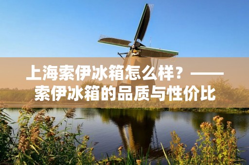 上海索伊冰箱怎么样？——索伊冰箱的品质与性价比
