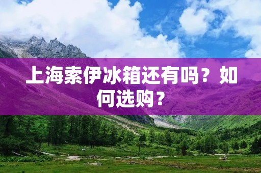 上海索伊冰箱还有吗?如何选购? 上海索伊冰箱还有吗?如何选购?