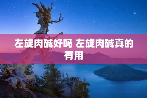 左旋肉碱好吗 左旋肉碱真的有用