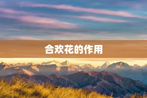 合欢花的作用：缓解情绪，治疗失眠