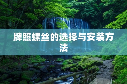 牌照螺丝的选择与安装方法 牌照螺丝的选择与安装方法
