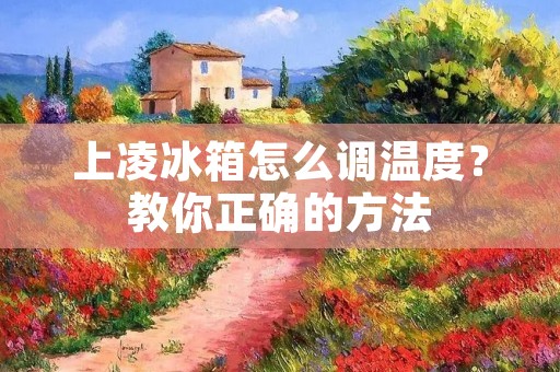 上凌冰箱怎么调温度？教你正确的方法