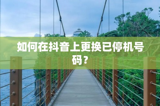 如何在抖音上更换已停机号码?