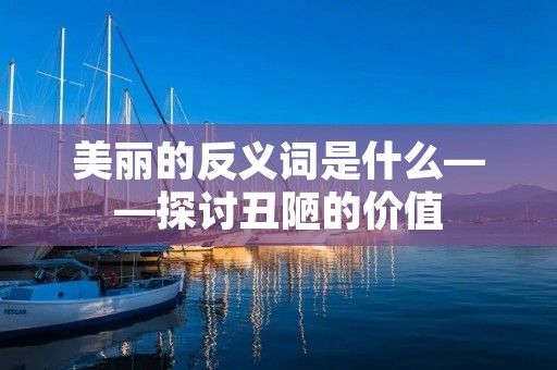 美丽的反义词是什么——探讨丑陋的价值