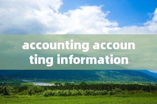 accounting accounting information
