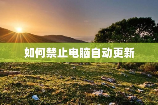 如何禁止电脑自动更新
