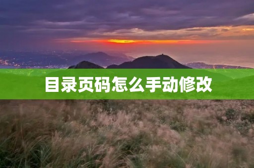 目录页码怎么手动修改