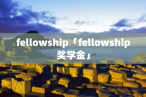 fellowship「fellowship奖学金」