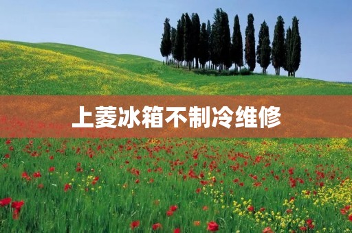 上菱冰箱不制冷维修：详解制冷系统故障及解决方法