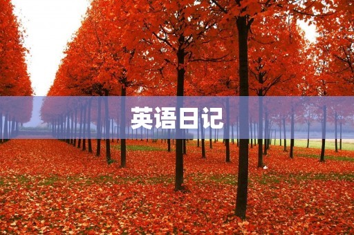 英语日记：记录日常生活的点滴