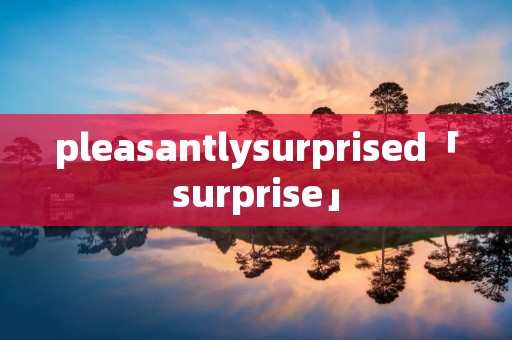 pleasantlysurprised「surprise」