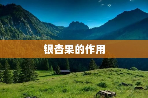 银杏果的作用:从中医角度看待 银杏果的作用:从中医角度看待