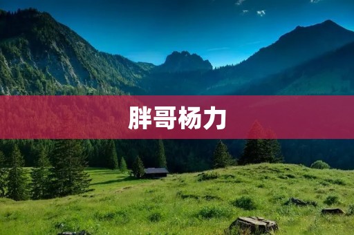 胖哥杨力:从短视频网红到电影明星 胖哥杨力:从短视频网红到电影明星