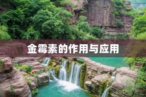金霉素的作用与应用 金霉素的作用与应用