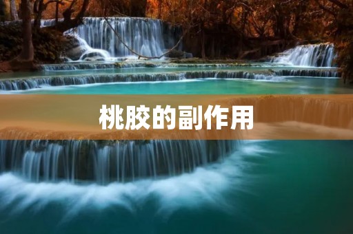 桃胶的副作用:你需要知道的一切 桃胶的副作用:你需要知道的一切