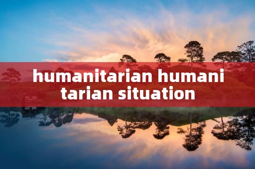 humanitarian humanitarian situation