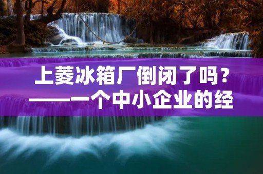 上菱冰箱厂倒闭了吗?——一个中小企业的经营困境 上菱冰箱厂倒闭了吗?——一个中小企业的经营困境