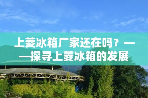 上菱冰箱厂家还在吗?——探寻上菱冰箱的发展历程和现状 上菱冰箱厂家还在吗?——探寻上菱冰箱的发展历程和现状