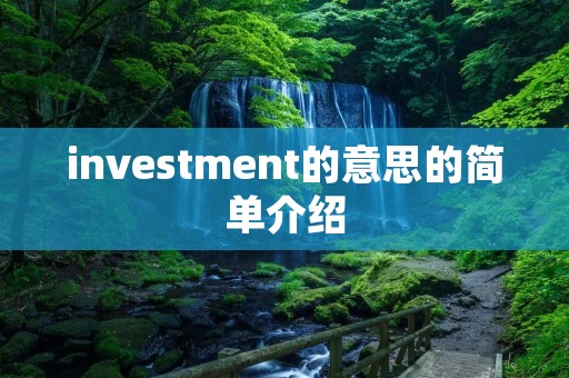 investment的意思的简单介绍