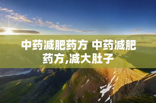 中药减肥药方 中药减肥药方,减大肚子