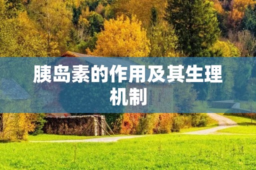 胰岛素的作用及其生理机制