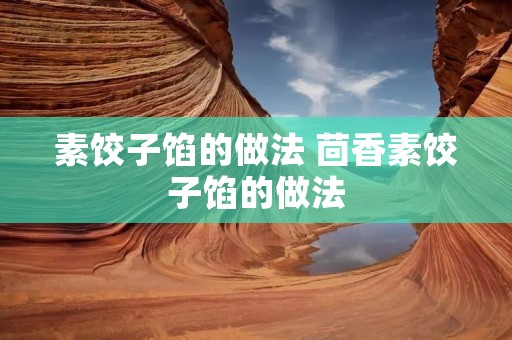 素饺子馅的做法 茴香素饺子馅的做法