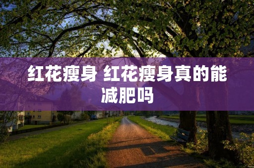 红花瘦身 红花瘦身真的能减肥吗
