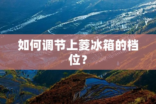 如何调节上菱冰箱的档位? 如何调节上菱冰箱的档位?