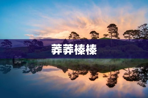 莽莽榛榛:生命的脆弱与坚韧