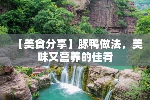 【美食分享】豚鸭做法,美味又营养的佳肴 【美食分享】豚鸭做法,美味又营养的佳肴