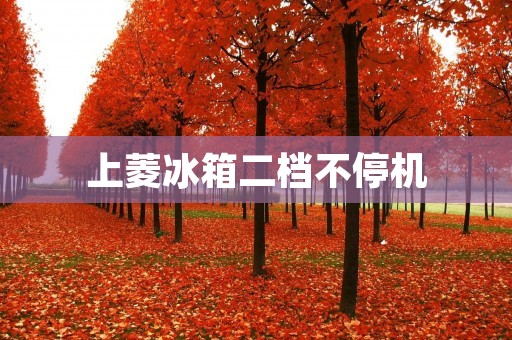 上菱冰箱二档不停机:原因及解决方法 上菱冰箱二档不停机:原因及解决方法