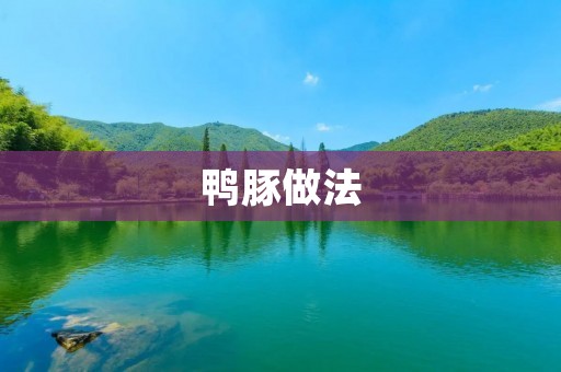 鸭豚做法:美味佳肴的制作技巧 鸭豚做法:美味佳肴的制作技巧