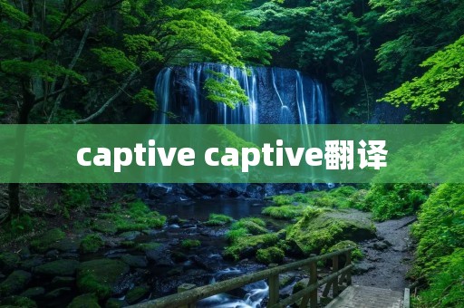 captive captive翻译