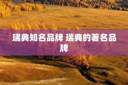 瑞典知名品牌 瑞典的著名品牌