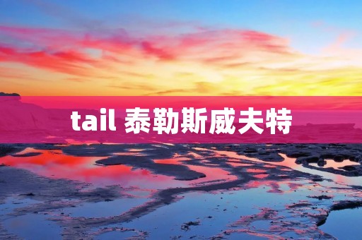 tail 泰勒斯威夫特