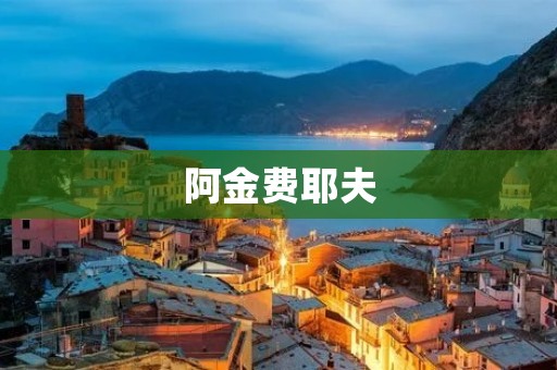 阿金费耶夫：俄罗斯能源产业的掌舵人