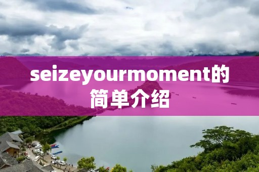 seizeyourmoment的简单介绍