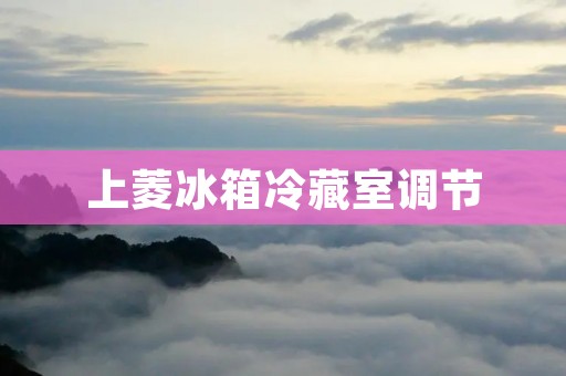 上菱冰箱冷藏室调节:让食材更加新鲜 上菱冰箱冷藏室调节:让食材更加新鲜