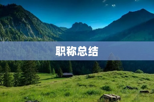 职称总结:如何成功晋升职称?