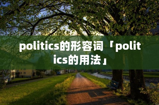 politics的形容词「politics的用法」