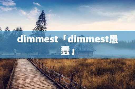 dimmest「dimmest愚蠢」