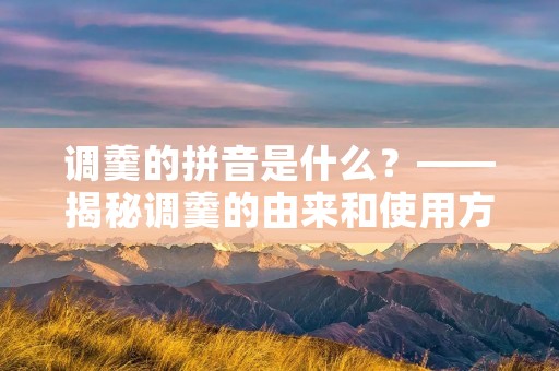调羹的拼音是什么?——揭秘调羹的由来和使用方法
