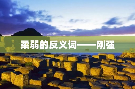 柔弱的反义词——刚强
