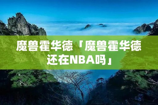 魔兽霍华德「魔兽霍华德还在NBA吗」